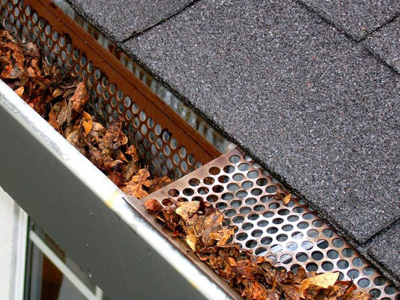 Rain Gutter Cleaning