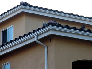 Custom Gutters